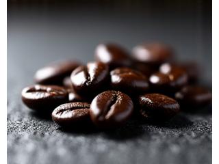 Close-up of dark roasted coffee beans