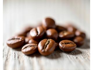 Close-up of lightly roasted coffee beans