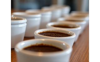Coffee quality cupping session